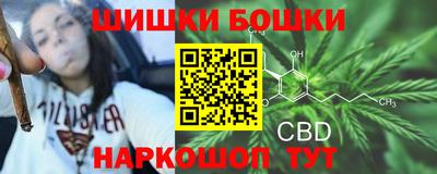 дживик Можайск