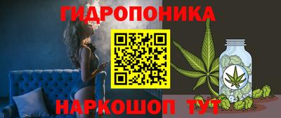 MDMA Можга