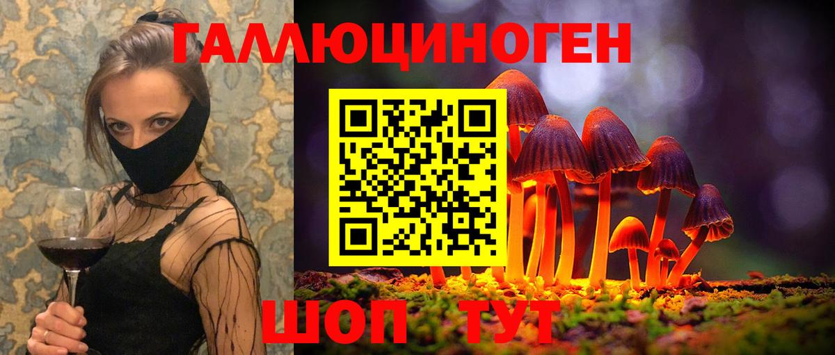 Галлюциногенные грибы GOLDEN TEACHER Щёлково